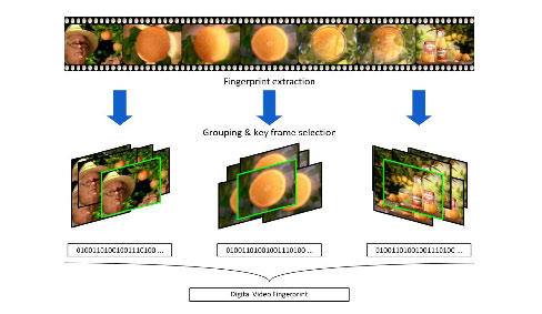 Figure 1 Fingerprint Based Video Comparison Source iPharro 